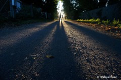 Harald_Mayerthaler_Alienweg