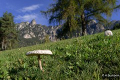 Heike_Buchborn_-2