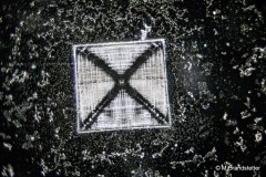Matthias_Brandstetter_-4