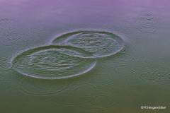 Rainer_Hergenroether_Geometrie-im-See