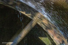 Rainer_Hergenroether_Muehle-in-Motion