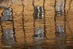 Ulrike_Hohnheiser_-4
