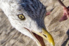 Arne-Kupfer_IMG_8052