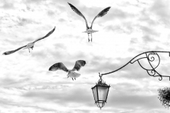 Flugwetter