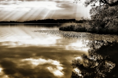 Heike_Buchborn_Simssee