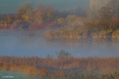 Ulrike_Hohnheiser_Morgenstimmung_am_Egglburger_See