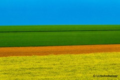 Bunte Felder