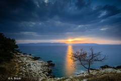 Alfons_Brueckl_Duga_Luka