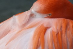 Anke_Heinrich_Titelfoto