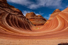  The Wave