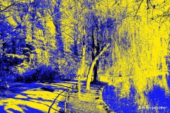 Spaziergang im Englischen Garten