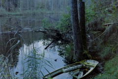 Boot im Wald