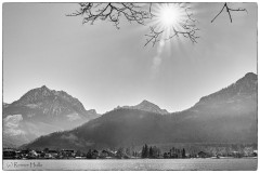 Winterlicht