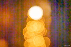 Christbaum