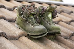 Schuhe als Blumenkästen