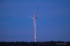 Die Ruhe vor dem Sturm