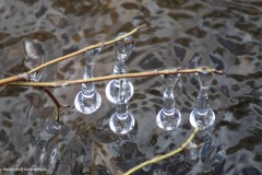 Eiszapfen im Bach