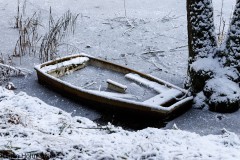 Eingefroren
