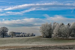 Winterwonderland im Januar 2025