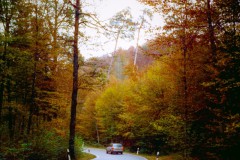 Straße nach Moosach