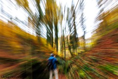 Herbstfarben