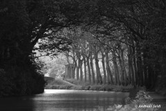 Canal du Midi