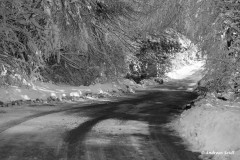 Weg nach Aßlkoven