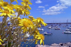 England, Devon, Brixham