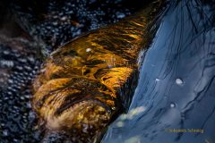 Johannes_Schmieg_Moorwasser_MGL2436-1