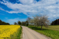 farbenfroher Frühling