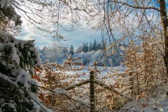 Dezember