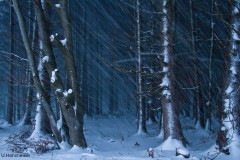 Ulrike_Hohnheiser_160117_165638_4149