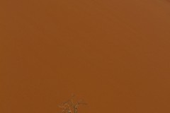 Ulrike-Hohnheiser_Alleine
