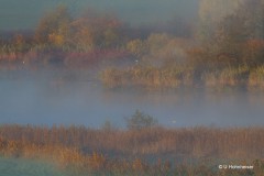 Ulrike_Hohnheiser_Herbstmorgen
