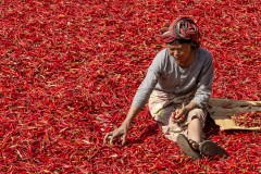 Franz_Vielhuber_Red_hot_chili