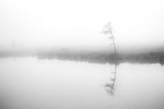 Ulrike Hohnheiser-Augustnebel