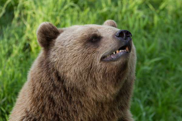 Du betrachtest gerade Wildpark Poing