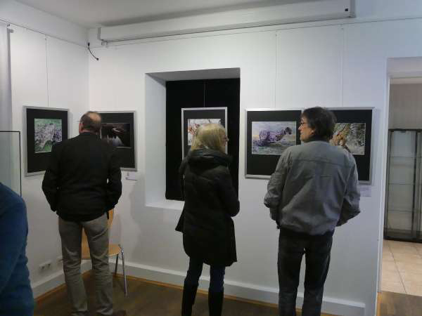 Du betrachtest gerade Ausstellungen Museum Grafing